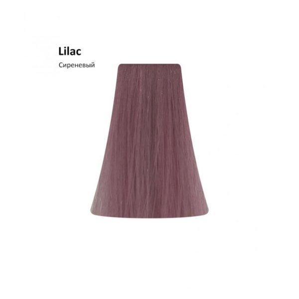 Корректор цвета сиреневый BBOne Picasso Correctors Lilac - 100 мл