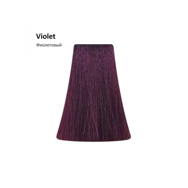 Корректор цвета фиолетовый BBOne Picasso Correctors Violet - 100 мл