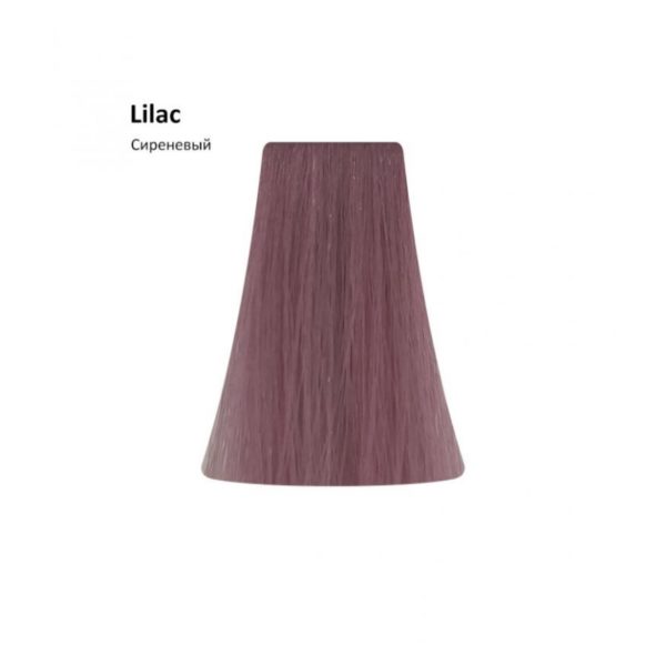 Корректор цвета сиреневый BBOne Picasso Correctors Lilac - 100 мл