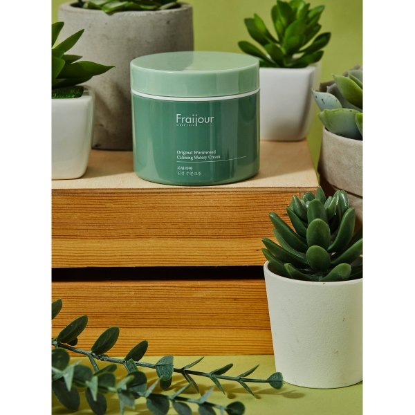 Evas Fraijour Original Herb Wormwood calming watery cream Крем с полынью 100 мл — изображение 8