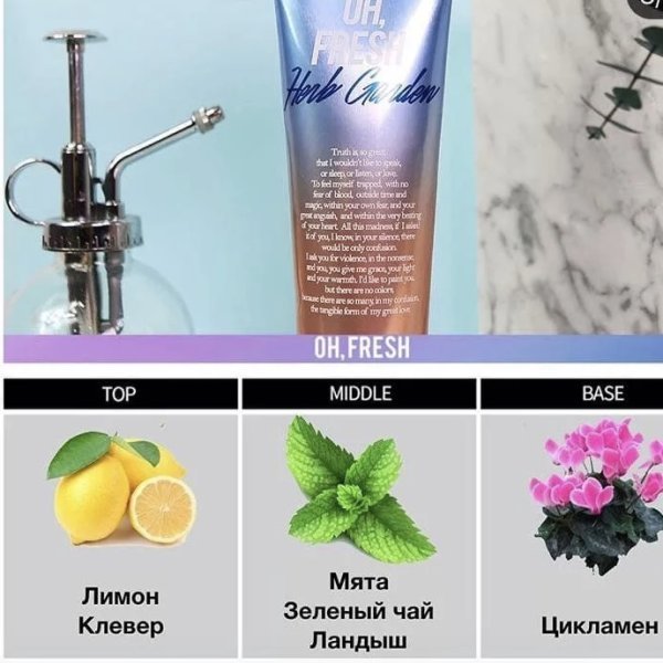 Evas Kiss by Rosemine Fragrance hand cream Oh Fresh Herb Garden крем для рук с ароматом трав — изображение 4